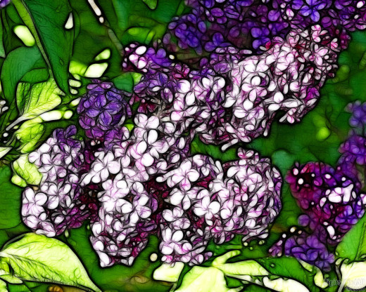 18997 (a): :1280x1024